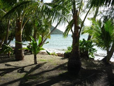 Image is of a beach scene taken from nehind the foliage, at Naigani in Fiji.