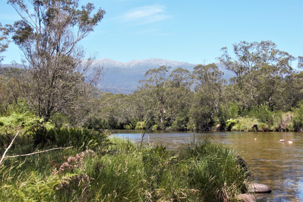 Image shows a riverine landscape with both baks in view. Tall vegetation comes down to the bank and high rocky mountains are in the background.